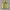 Japanese Brand Vintage Biker Bomber Jacket Pria Gold Yellow