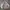 Harrington Jacket standard member cream photo 4