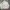 Harrington Jacket standard member cream photo 5