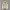 WHO.A.U Vintage Streetwear Denim jacket Pria cream brown photo 1