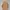 Carhartt Streetwear Y2K Denim jacket Pria tan brown photo 2