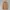 Carhartt Streetwear Y2K Denim jacket Pria tan brown photo 1