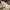 Nike swoosh registered tm  photo 7