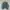 Alpha Industries Vintage Casual Bomber jacket Pria green photo 1