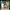 11/10 Studio Cosplay Bodycon dress Wanita brown photo 1