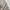 Levi's Streetwear Jeans Pria tan photo 5