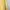 Coquette Casual Cardigan Wanita yellow photo 4