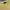 Sweater kuning Topten   photo 2
