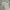 Emba Y2K Skater Formal pants Pria cream photo 2