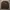 COVERNAT BROWN CREWNECK photo 2
