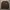 COVERNAT BROWN CREWNECK