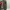 Y2K Skater Jeans Pria green photo 1