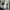 Juun J Full Zip Jogger Pants photo 5