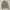 Burberry Y2K Luxury Shirt Wanita tan brown photo 1