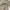 Chaps Lauren Casual Denim jacket Pria tan photo 5