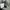 Uniform Bridge Jungle Slant Pocket Collarless Jacket photo 8