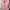Hoodie pink photo 1