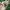 Jam Tangan Vintage Gcc Quartz photo 1