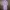 Organza lilac top with shining beads photo 4
