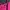 GURLBUCKET - Spaghetti Strap Crop Top Fuchsia Tank Top Hot P
