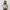 SOMA - ARA TOP Ribbed Knit Square Tank Tanktop Summer Kotak  photo 5