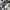 Adidas Casual Hoody Pria white photo 5
