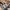 Vans Streetwear Skater Sneakers Pria white black photo 1