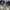 Vans Streetwear Skater Sneakers Pria white black photo 4
