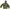Ziphoodie Carhart Cammo Jungle Realtree