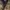 ziphoodie carhart cammo jungle realtree photo 3