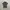 Lacoste Casual T-shirt Pria black gray photo 1