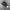 American Governor Realtree Camo photo 1