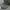 Sage Country Realtree Camo photo 3