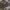 Sage Country Realtree Camo photo 5