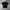 T-shirts Thisisneverthat Black photo 1