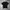 T-shirts Thisisneverthat Black