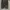 Sportswear Short Pria black gray photo 2
