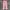 Versace Luxury Casual Casual trouser Wanita pink photo 1