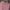 Versace Luxury Casual Casual trouser Wanita pink photo 2