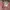 Versace Luxury Casual Casual trouser Wanita pink photo 3