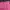 Colorbox Long Sleeve Knit Polo Shirt- Colorbox Knit Pink 