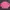Colorbox Long Sleeve Knit Polo Shirt- Colorbox Knit Pink 