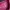 Colorbox long sleeve knit polo shirt- Colorbox knit pink  photo 3