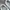 Nike IF1 photo 4