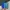 Luxury Wallet Wanita blue photo 4