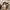 Burberry Luxury Pea coat Pria brown photo 4