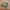 Nb 992  photo 1