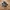 Nb 992 photo 3