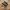 Nb 992 photo 1