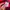 Longsleve Carhatt Spelout Red photo 6